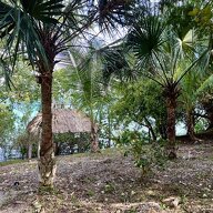 Coliving Bacalar 674536