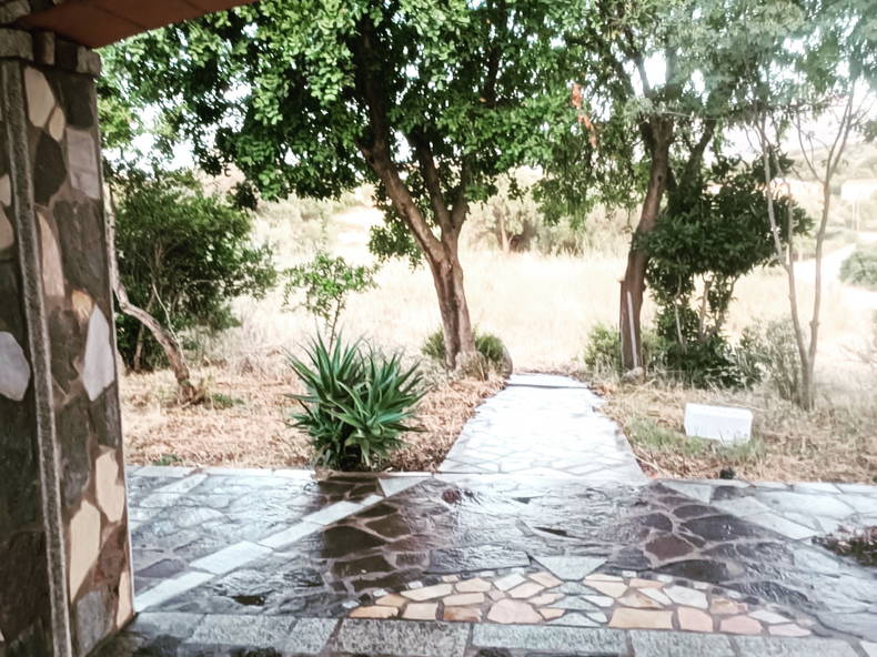 Ganzes Haus Olbia 260399-1