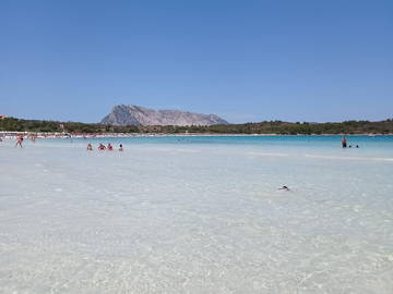 Chambre À Louer Olbia 260400