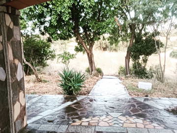 Logement Entier Olbia 260400-7