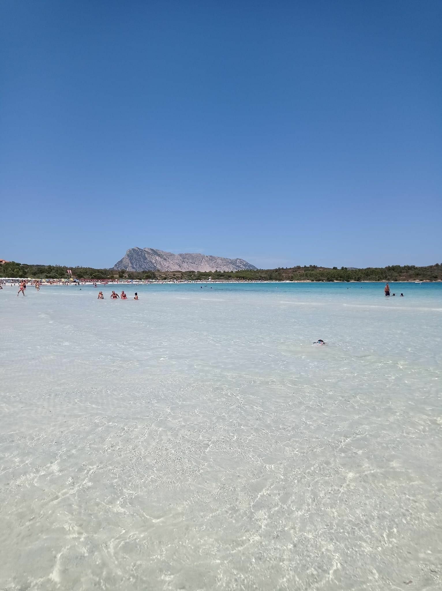 Logement Entier Olbia 260401