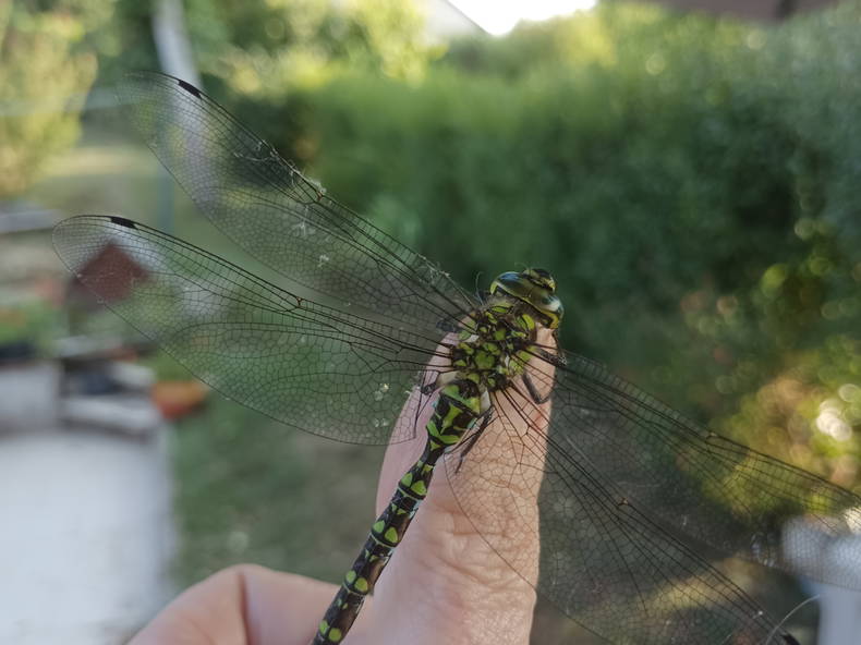 Toda La Casa Cransac 271388-5