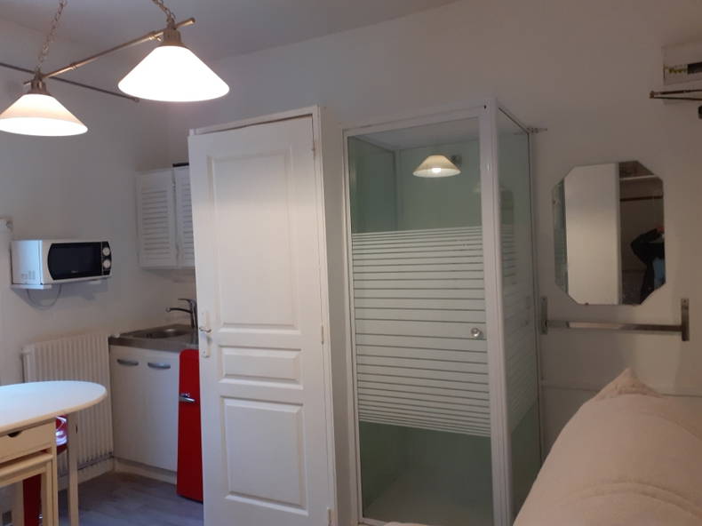 Chambre Chez L'habitant Maisons-Alfort 231632-4