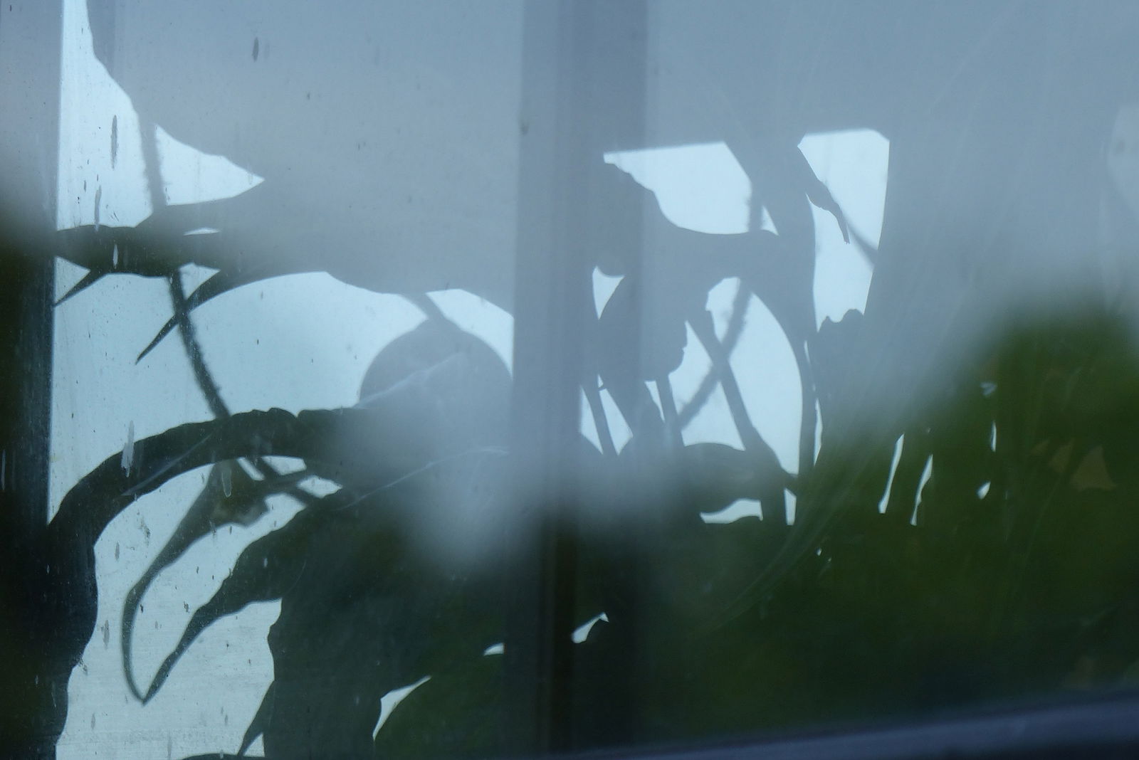 Kotimajoitus Choisy-le-Roi 108416