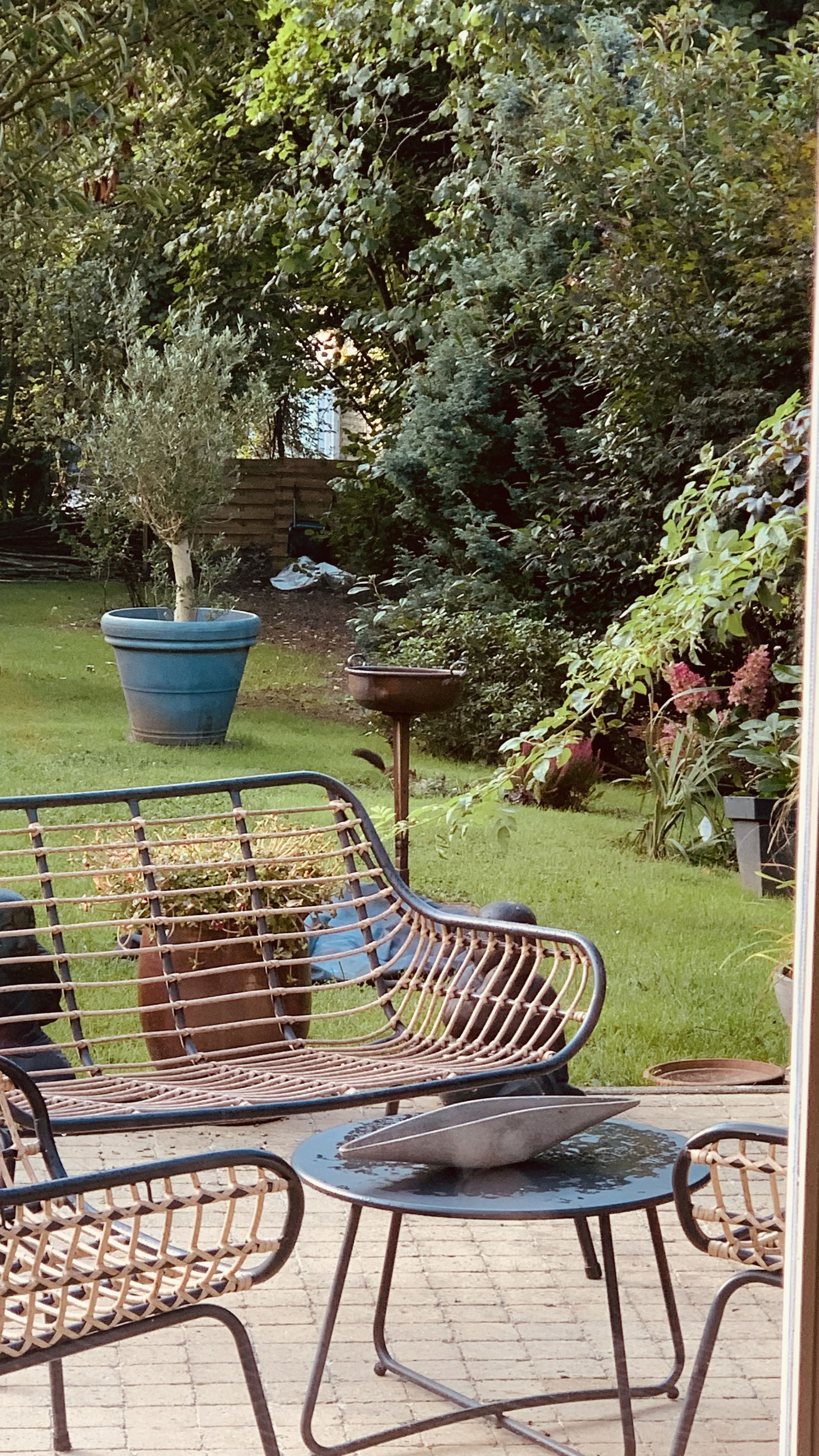 Życie Waterloo 433343