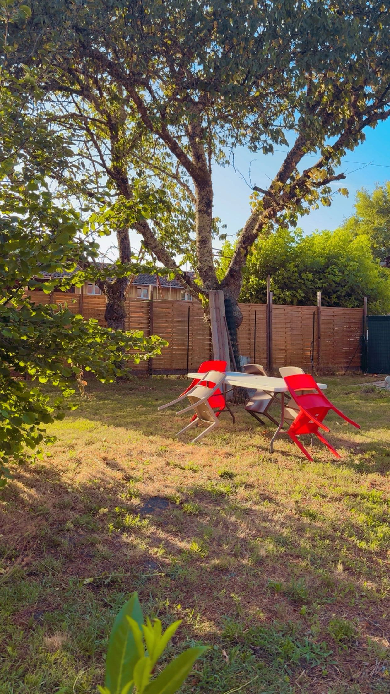 Cały Dom Louchats 549294