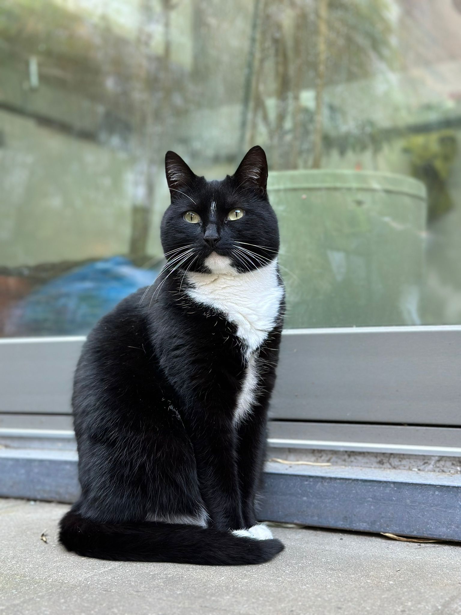 Zakwaterowanie U Rodziny Watermael-Boitsfort 436292