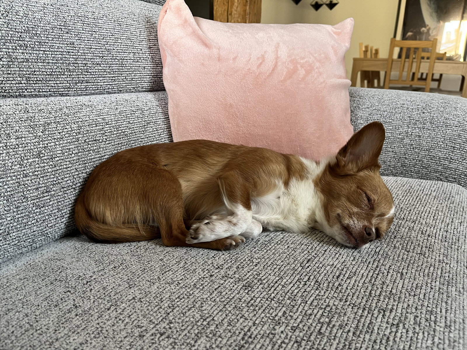 Zakwaterowanie U Rodziny Treycovagnes 660507