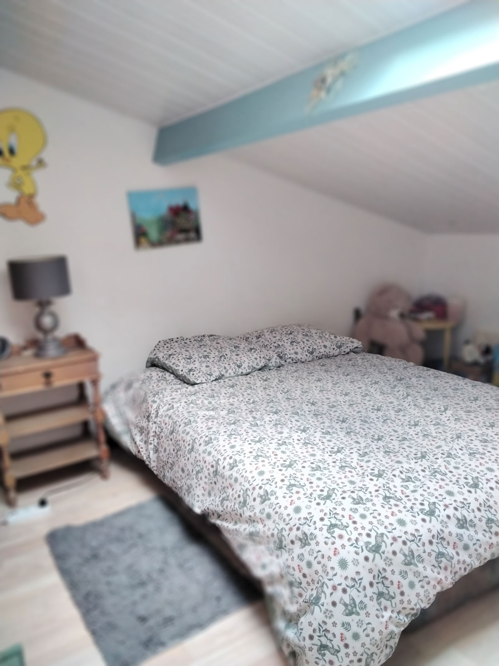 Chambre Chez L'habitant Roques 519852