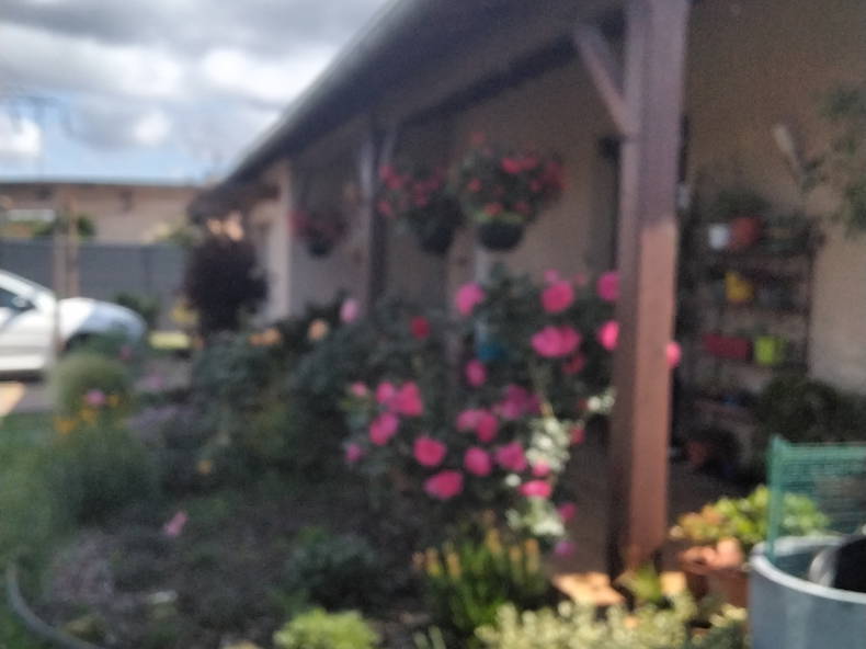 Homestay Roques 519852-4