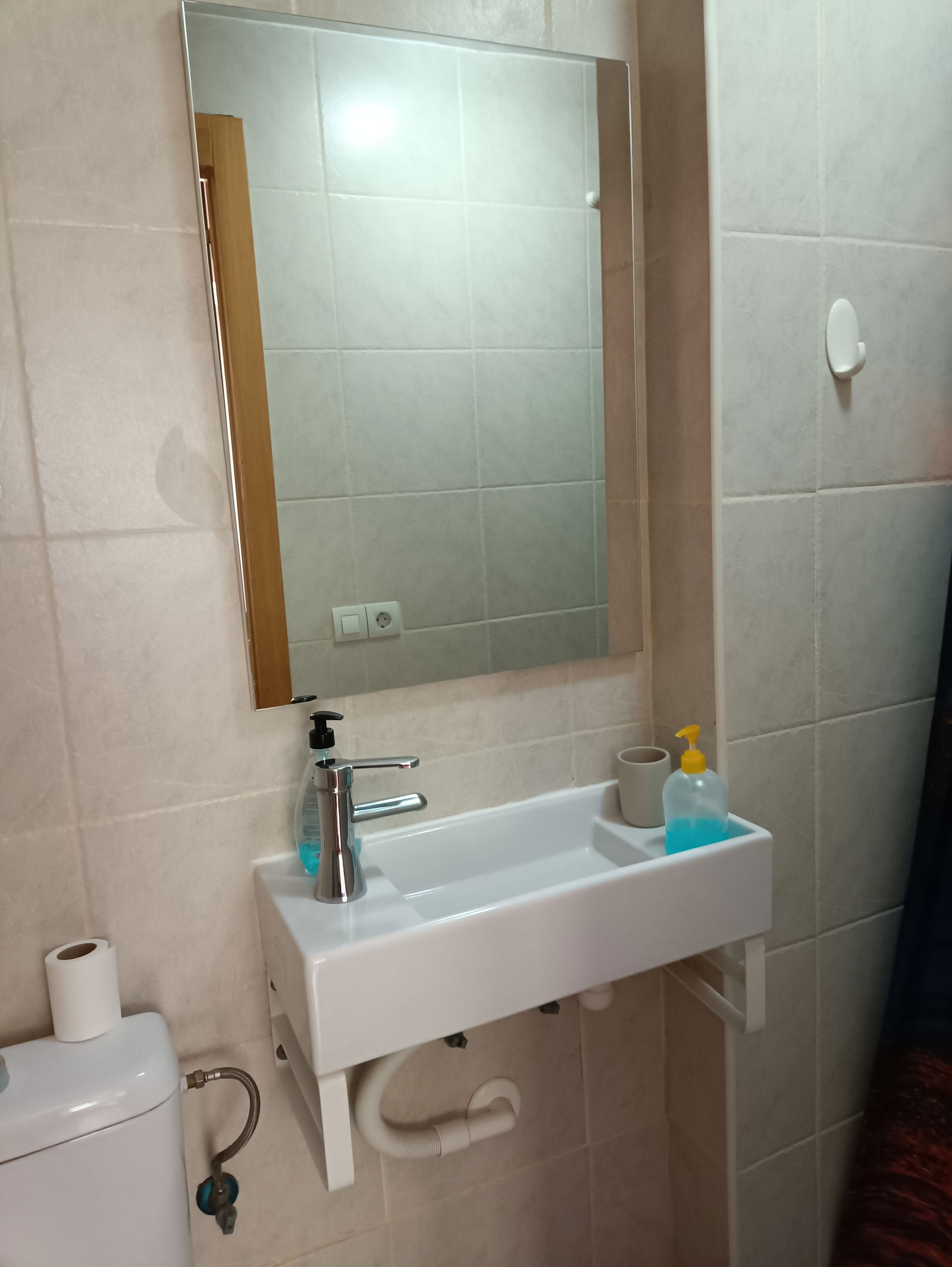 Kolokasie Madrid 578521