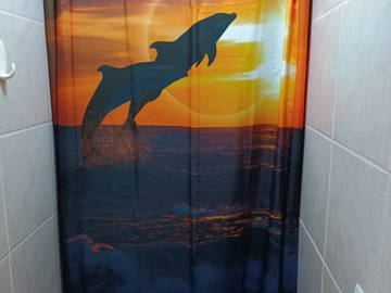 Colocation Madrid 578521-9