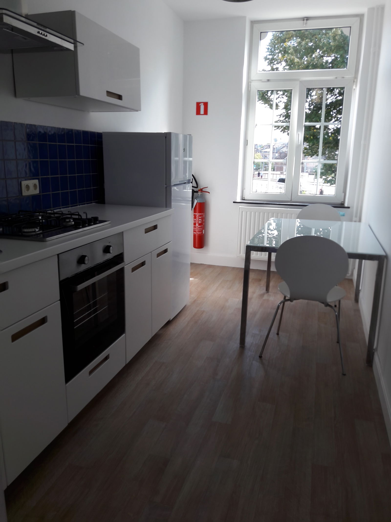 Kolokasie Namur 148294