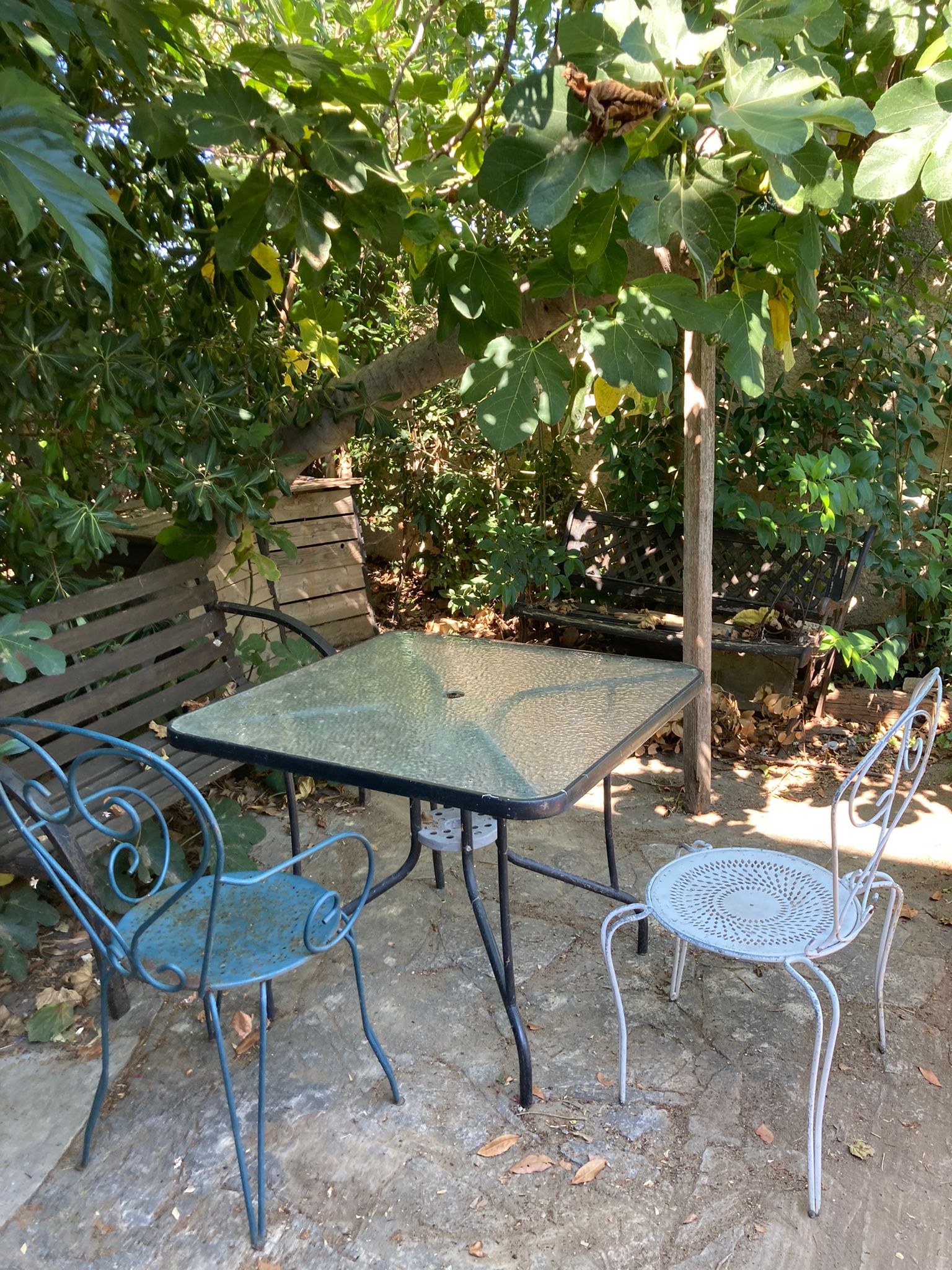 Famiglia Mauguio 463580