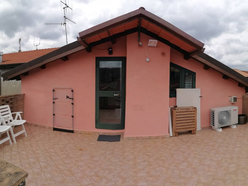 Kolokasie Filattiera 265776-1