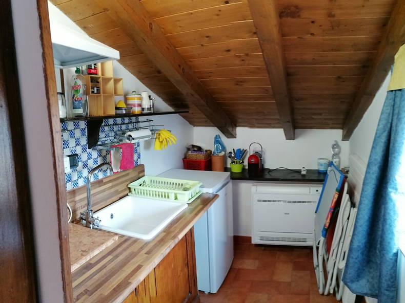 Kolokasie Filattiera 265776-3