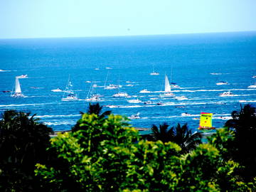 Homestay Schoelcher 210339-6