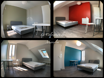 Room For Rent Fleury-Les-Aubrais 237235