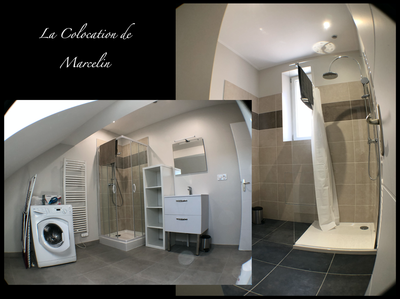 Kolokation Fleury-les-Aubrais 237235-2