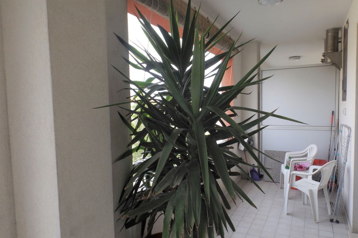 Uafhængigt Studie Senigallia 185368