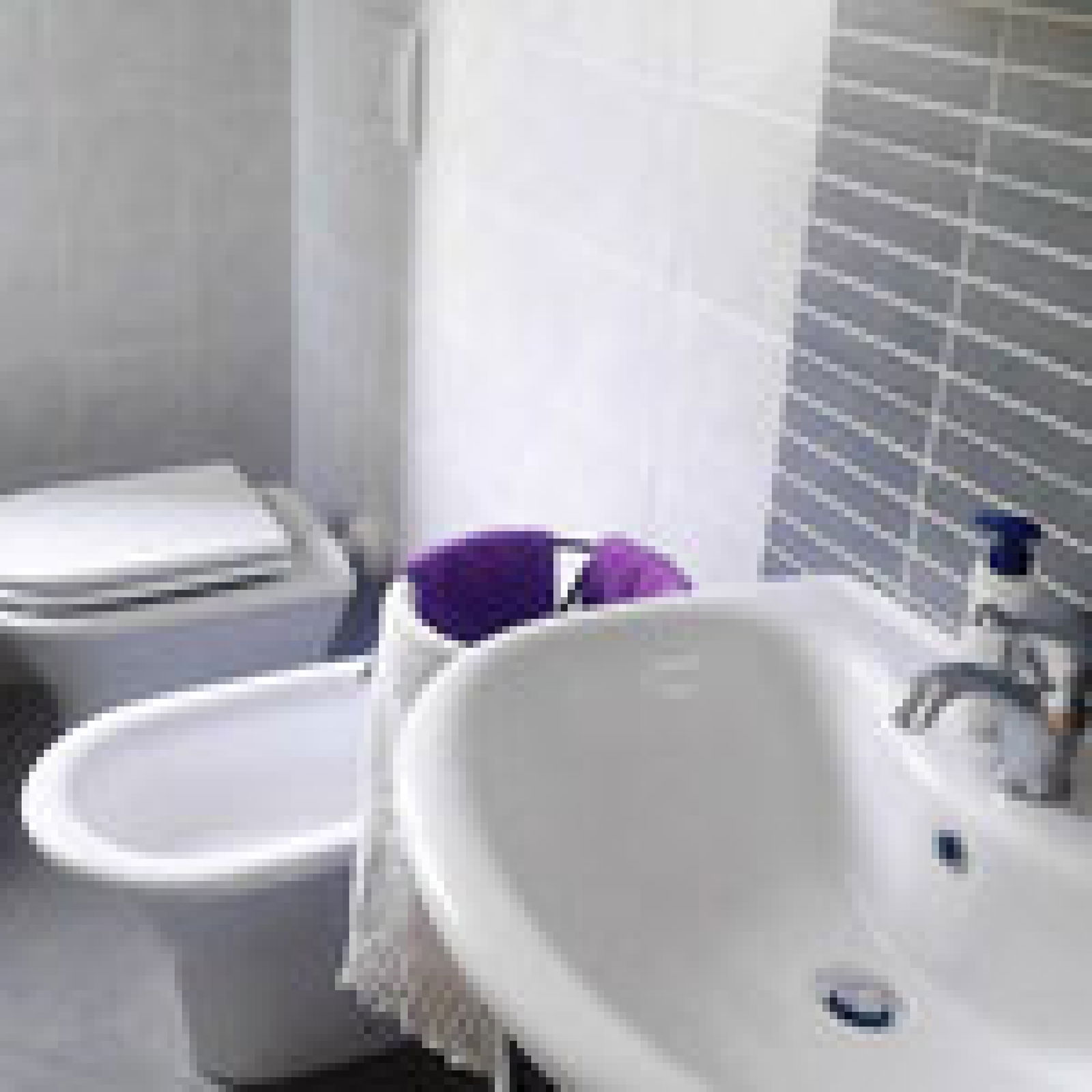 Uafhængigt Studie Senigallia 185368