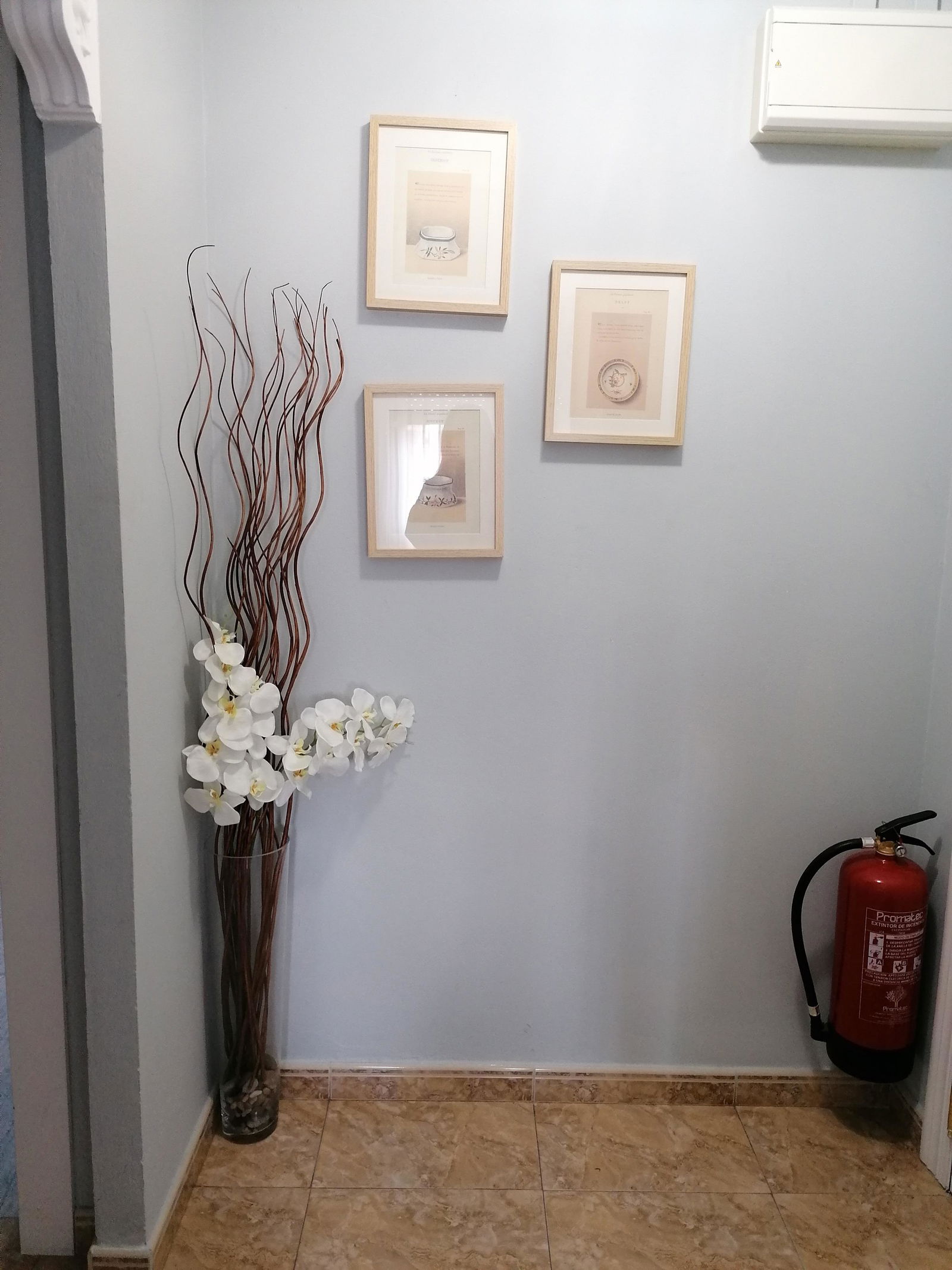 Unabhängiges Studio Gijón 225318