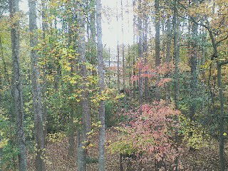 Gastgezin Marietta 151758