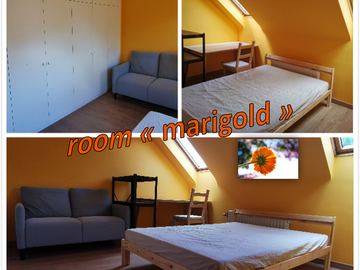 Roomlala | #Marigold Room Calmo e Brilhante Louvain-la-Neuve