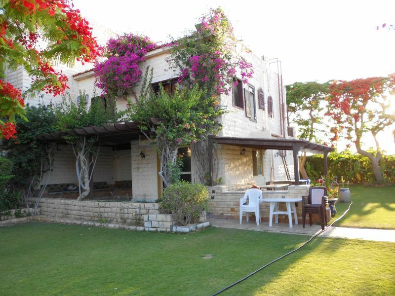 Estudio Independiente Al Natron Valley 244349