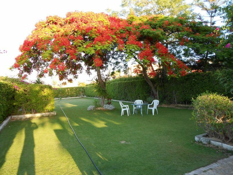 Estudio Independiente Al Natron Valley 244349