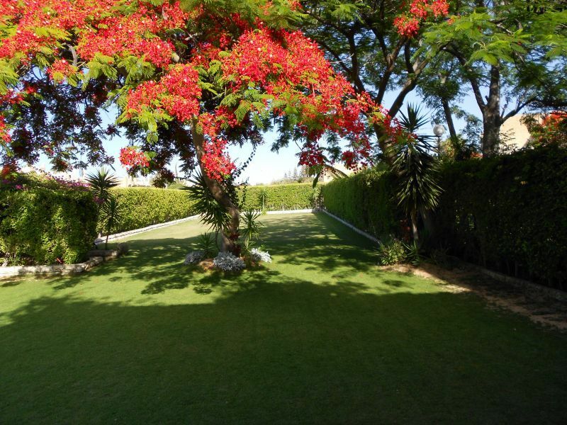 Independent Studio Al Natron Valley 244349