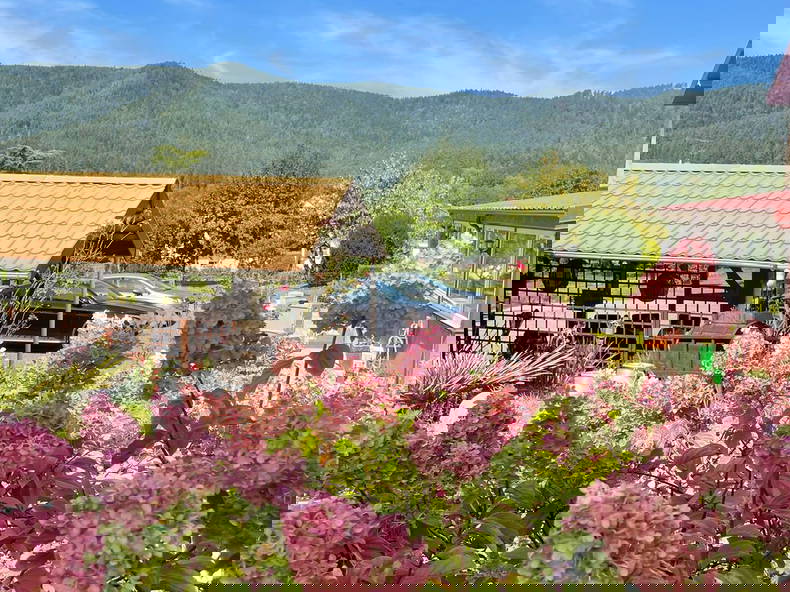 Chambre Chez L'habitant Saint-Dié-des-Vosges 288365-2