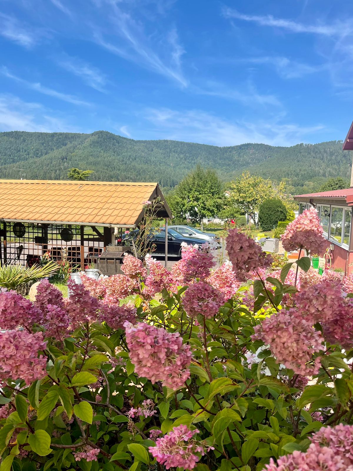 Gastfamilie Saint-Dié-des-Vosges 288365