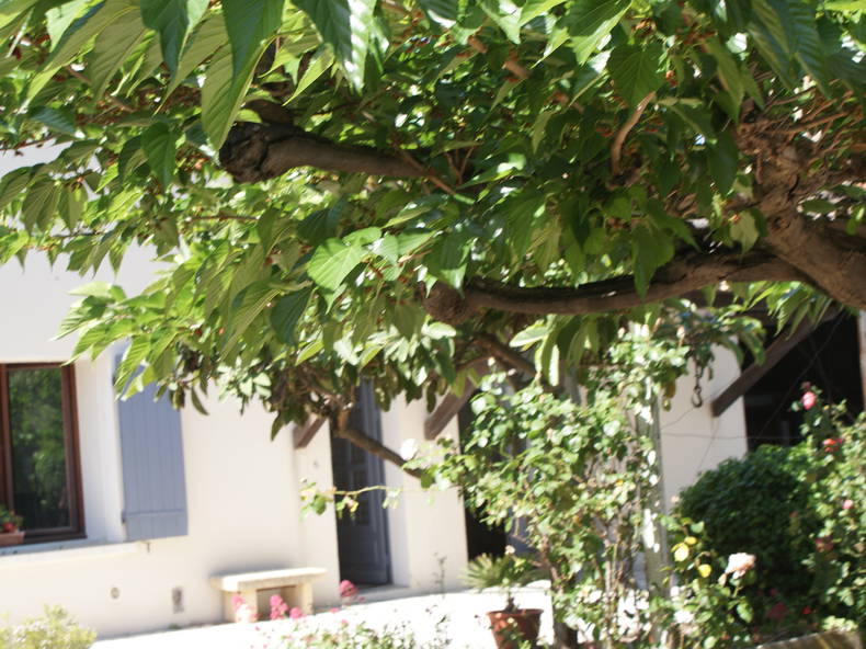 Colocation Vedène 105407-2