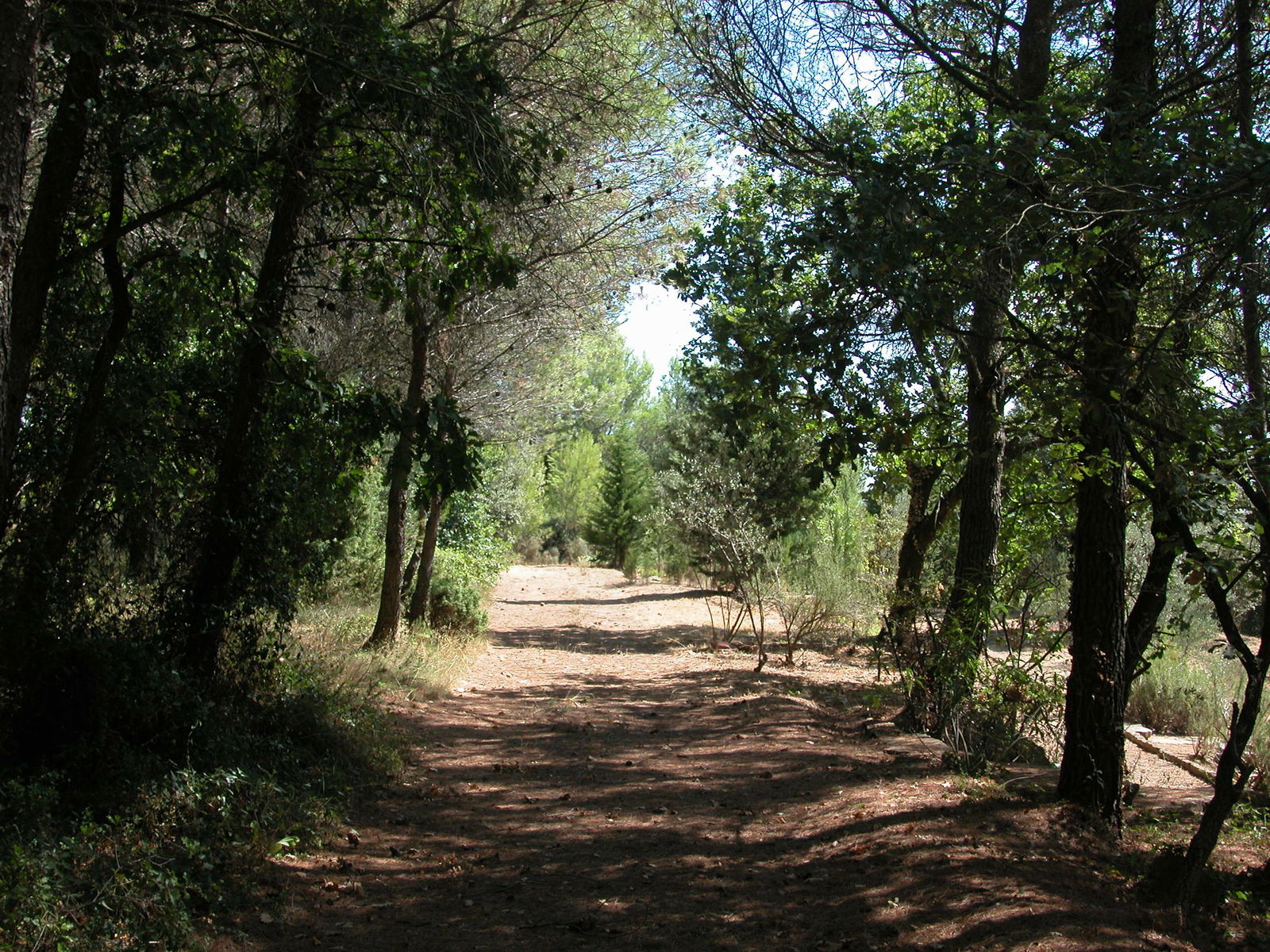 Estudio Independiente Laudun-l'Ardoise 72629