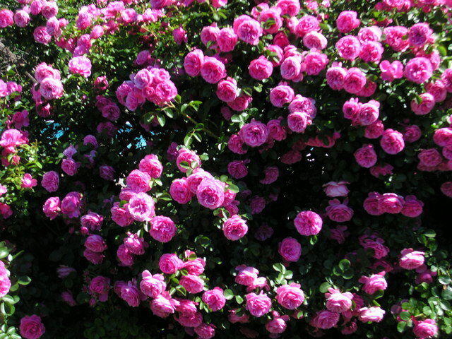 Unabhängiges Studio Saint-Quentin-la-Poterie 43069