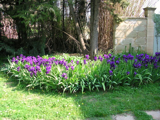 Unabhängiges Studio Saint-Quentin-la-Poterie 43069