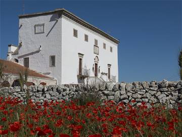 Roomlala | Masseria Del'700 Dans La Campagne Des Pouilles, Salle Blanche