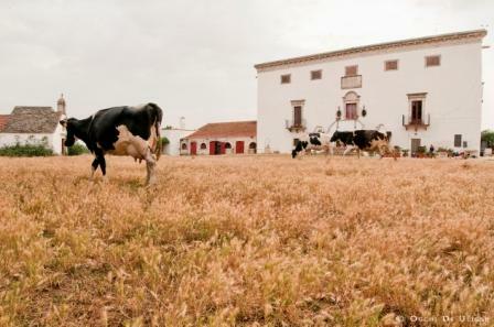 Chambres D'hôtes undefined 251600