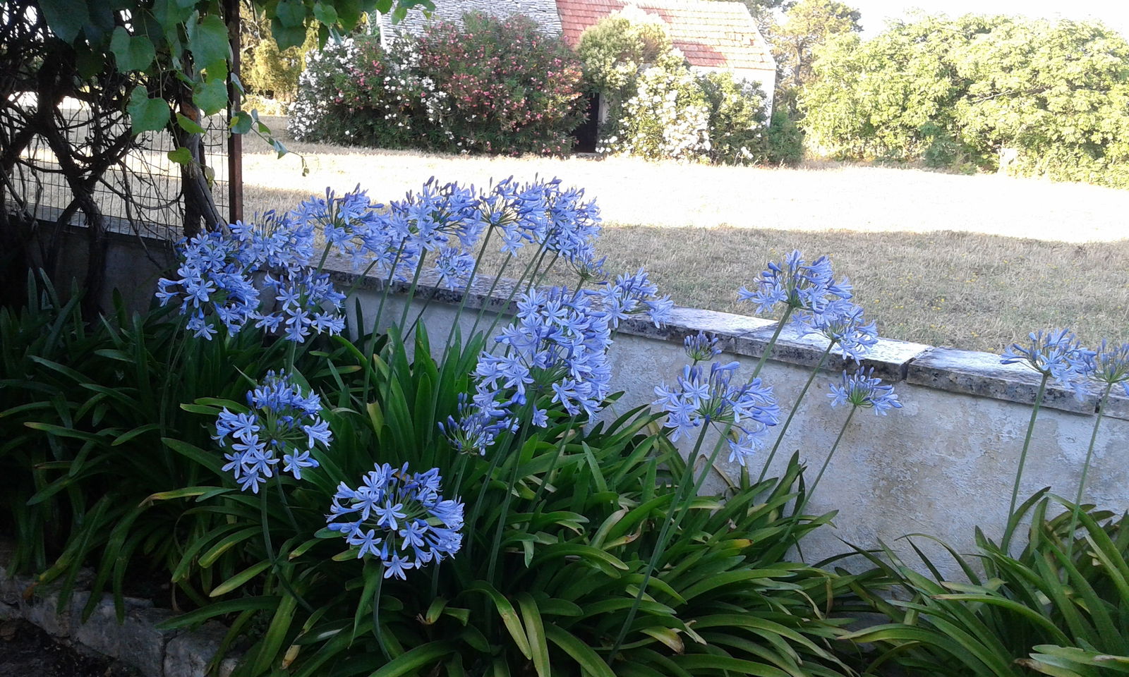 Studio Indépendant undefined 251601