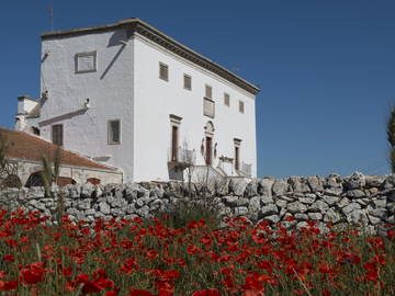 Roomlala | Masseria Del'700 In Der Apulischen Landschaft, Weißer Raum