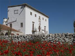 Masseria Del'700 In The Apulian Countryside, White Room