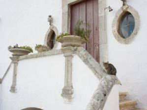 Toda La Casa undefined 251601-3