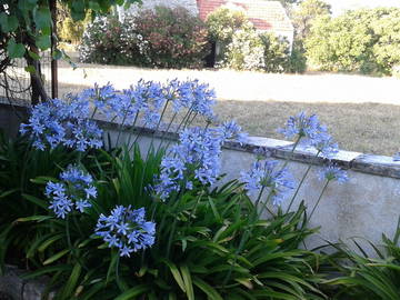 Logement Entier Undefined 251601-9