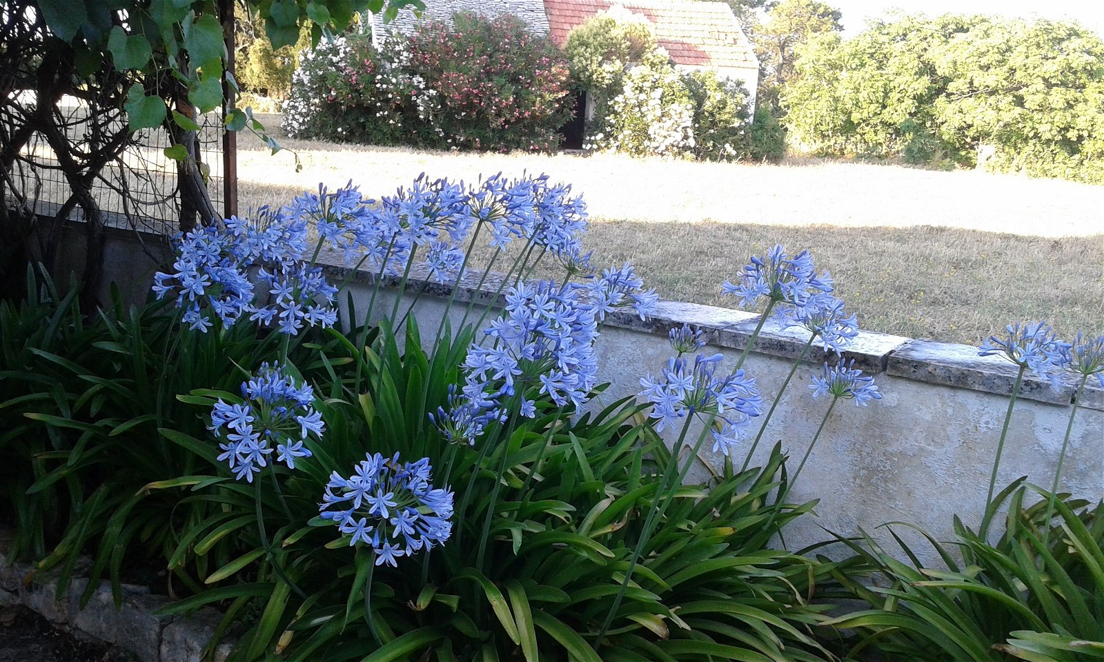 Pokoje Gościnne undefined 190242