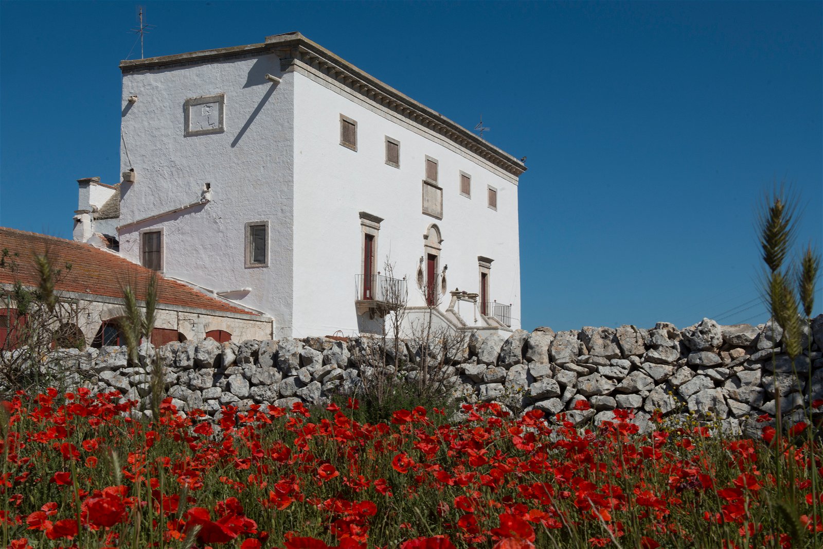 Niezależne Studio undefined 251601