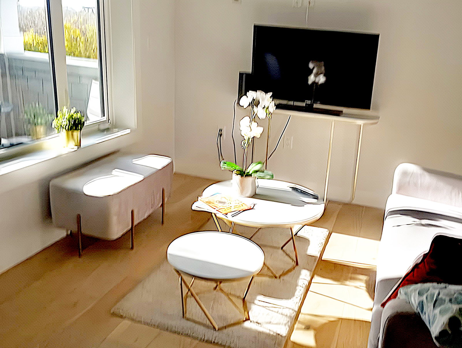 Coliving Vancouver 670507