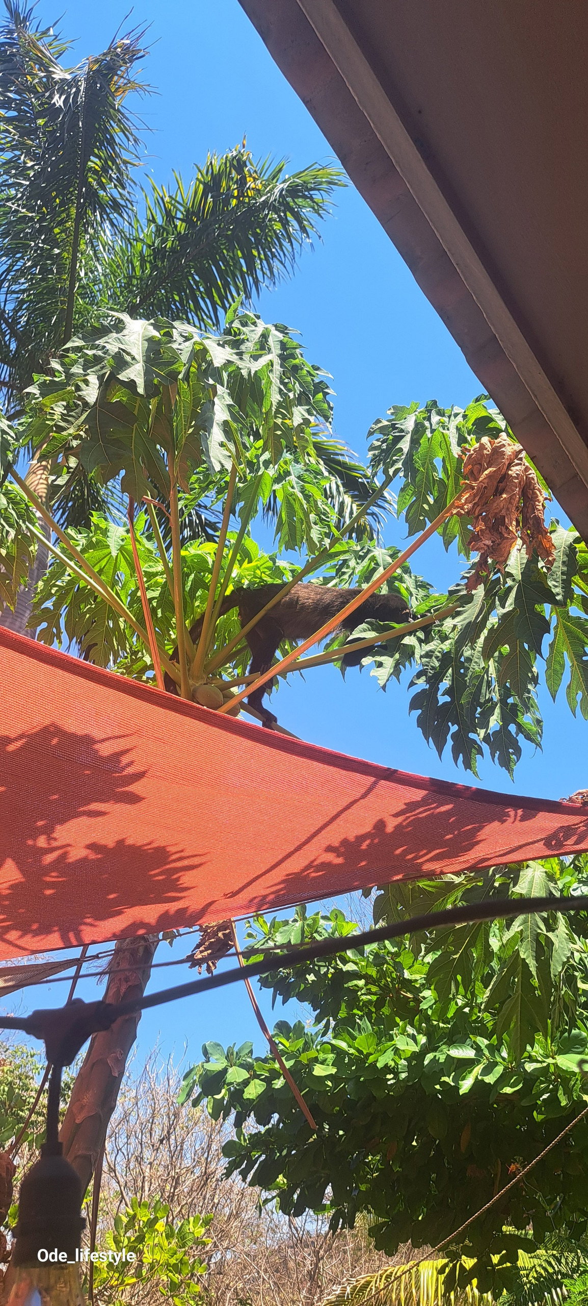 Guest Rooms Guanacaste Province 187343
