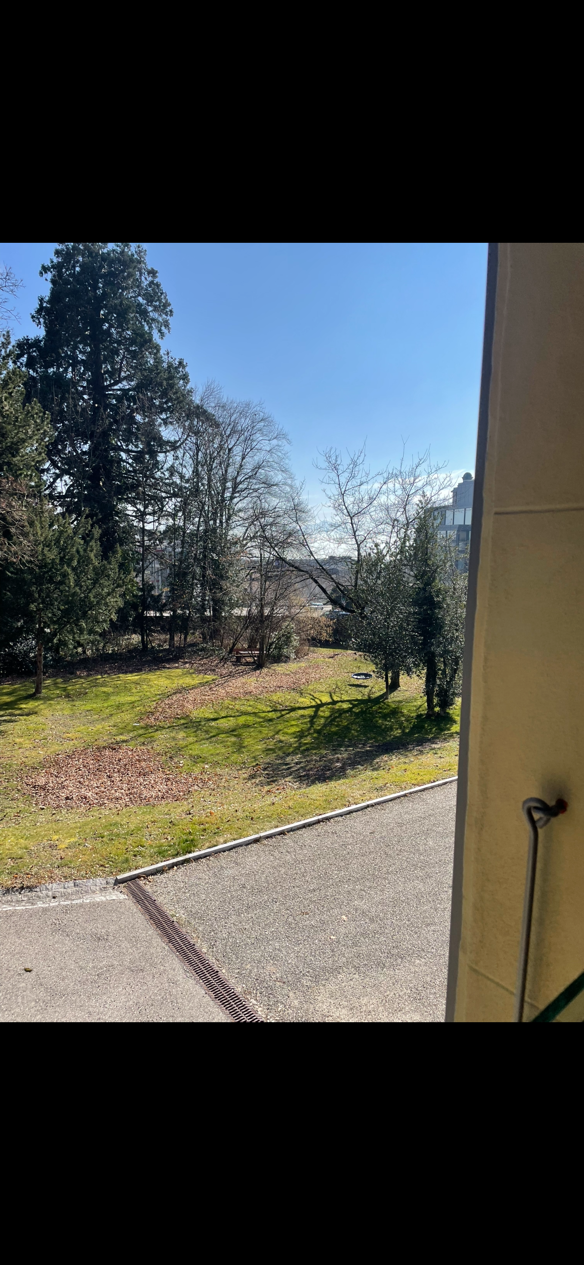 Colocation Lausanne 494484