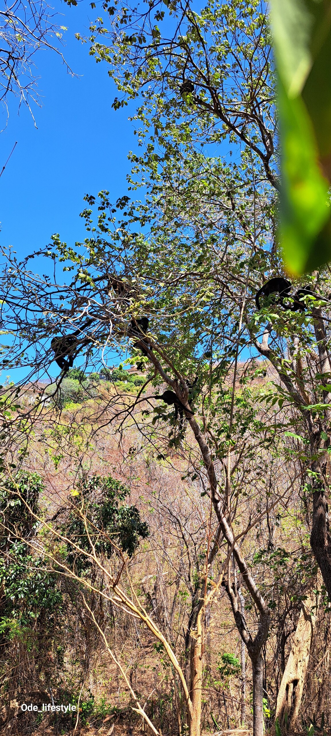 Gästezimmer Guanacaste Province 187343